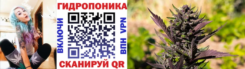 Марихуана план  Амурск 